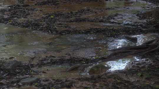 雨后泥泞地面及积水场景