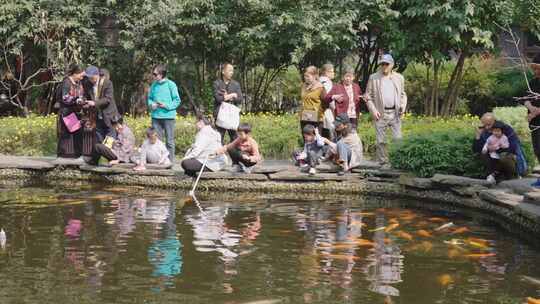 公园喂鲤鱼的游客市民