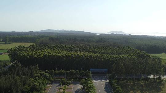 福建漳州谷文昌纪念馆