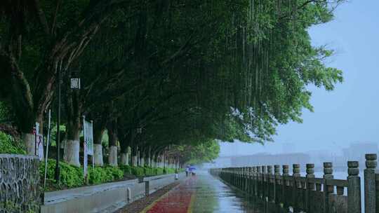 下雨雨天公园景色