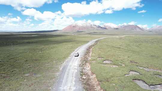 自驾西藏无人机跟拍 湿地牛群雪山草地 原片视频素材模板下载