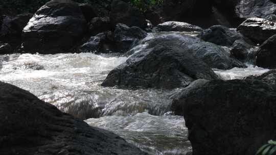 森林中 山泉小溪水