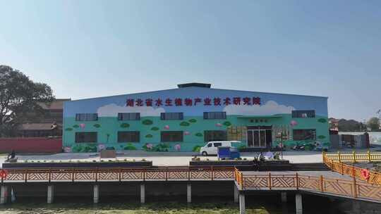 湖北省水生植物产业技术研究院
