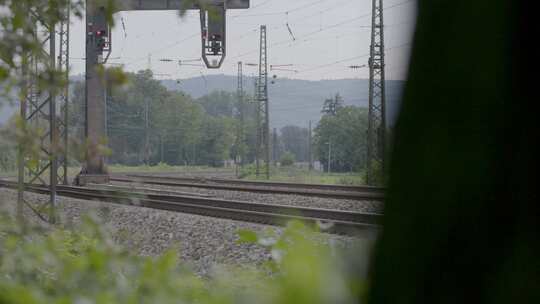 黄色和白色的火车在前景是绿色树叶的铁轨上