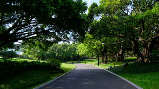 公园草坪草地 校园小路