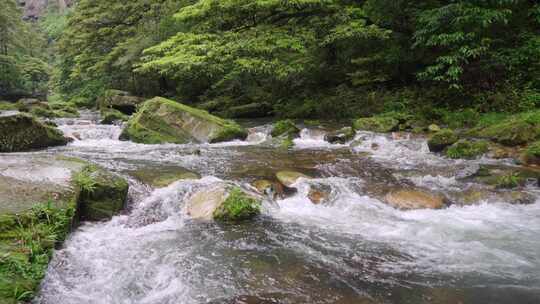 自然溪流合集-小河溪水清澈溪流