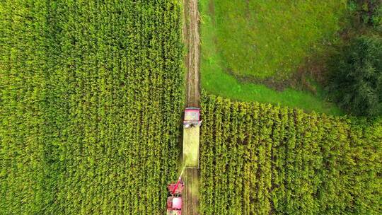 4K航拍农田机器收割 绿色田野