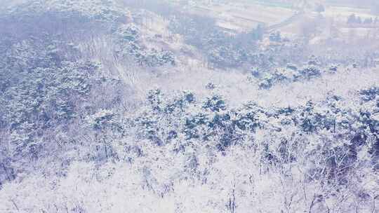 雪景小雪雪  冬天航拍雪景 雪后