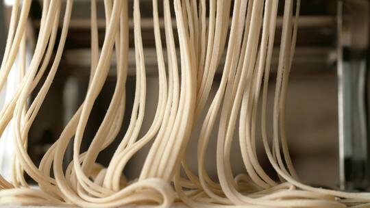 面条生产 压面机