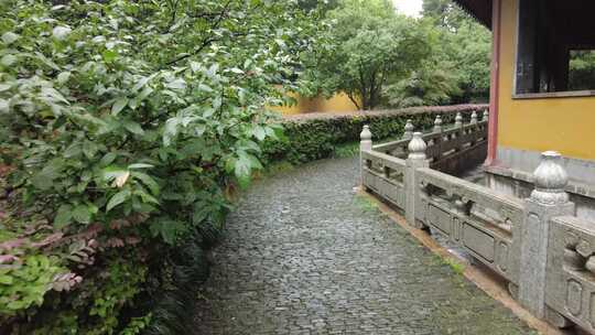 寺庙下雨素材苏州北寺塔实拍