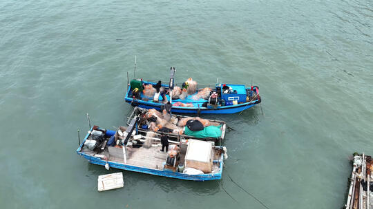 海边渔村渔民出海前渔船上检查渔网视频素材模板下载