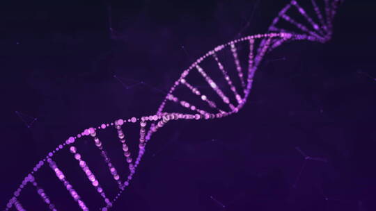 紫色的DNA粒子