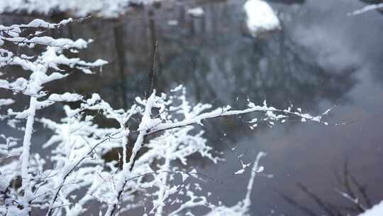 冬天雪景树林雾凇