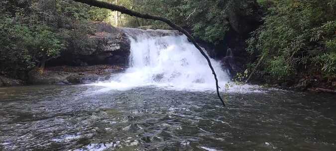 森林树木瀑布流水