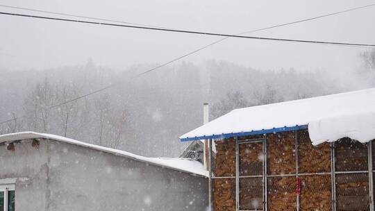 慢动作东北下雪，雪景，雪花