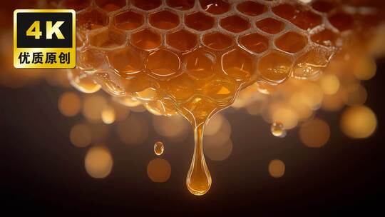 蜜蜂采蜜蜂王浆蜂蜜蜂巢蜂蜜生产养殖