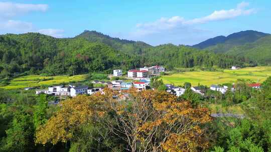 秋季乡村风光