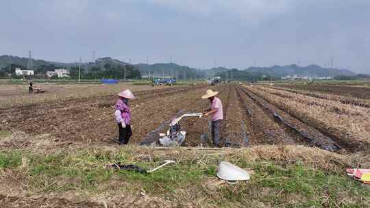 惠州万亩现代化实验农田航拍