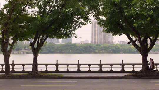 秋天季节风景花草绿植远景