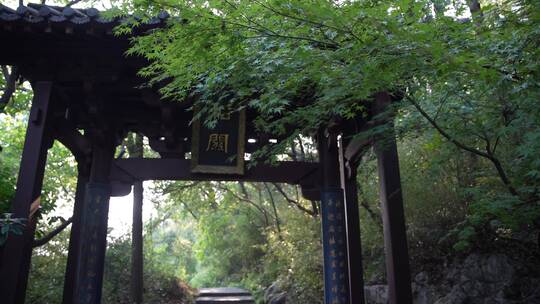 杭州玉皇山景区天龙寺