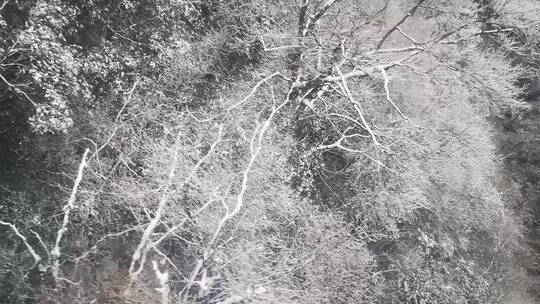 贵州铜仁梵净山5A景区冬天雪景视频素材模板下载