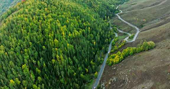 绿色山谷中的公路