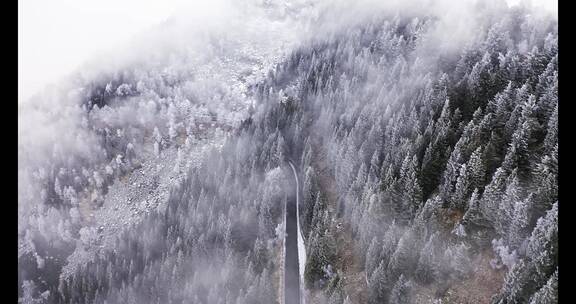 雾天森林马路航拍