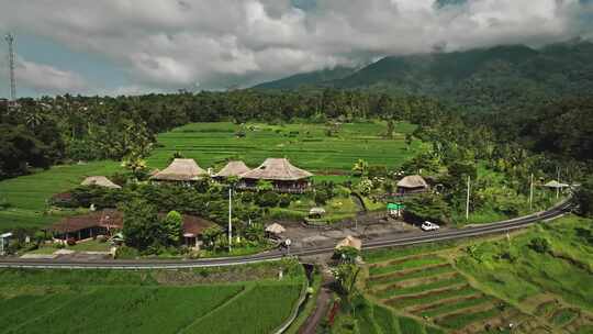 Jatiluwih，稻田，热带，乡村