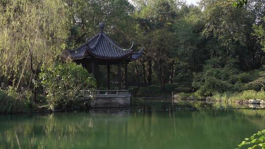 杭州西湖十景之一花港观鱼