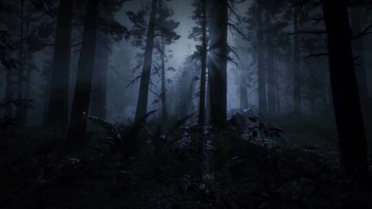 森林中的恐怖场景，黑夜，雾中的恐怖，神秘