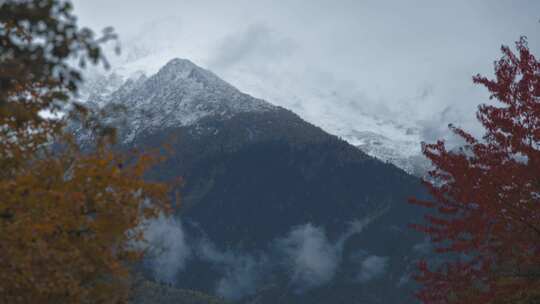 白雪覆盖，山，秋天，树木