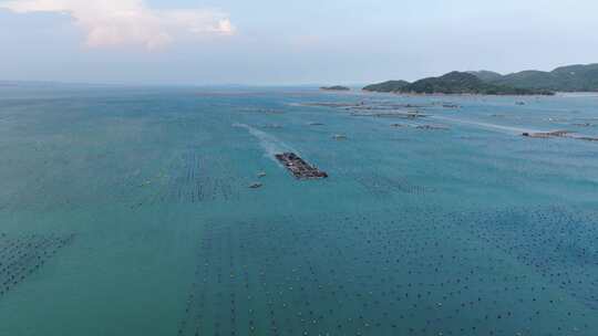 汕头航拍南澳海洋资源海洋牧场生蚝养殖