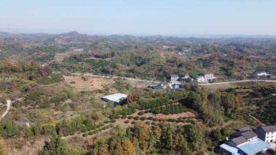 航拍湖北宜昌夷陵区乡村建设