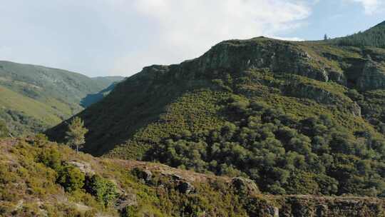 高山峡谷空中富饶的森林