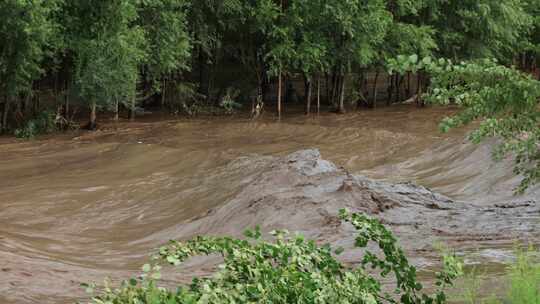 实拍暴雨后洪水 山洪  泥石流