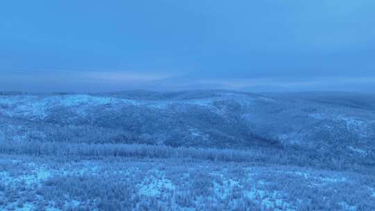 极寒天气下的林海雪原