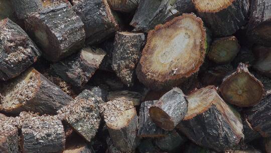 乡村堆积的木头烧柴