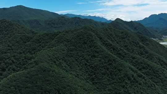 湖北神农架大九湖