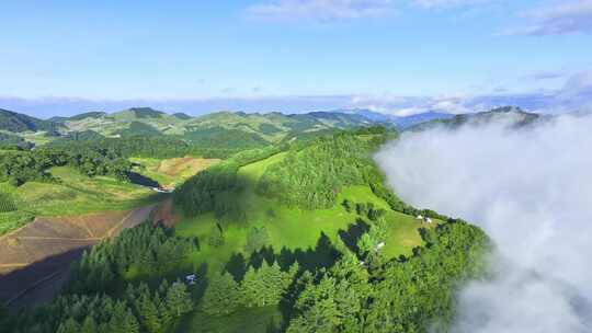 航拍夏季高山云海云雾阳光