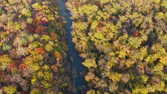 航拍东北秋季多彩森林与河流