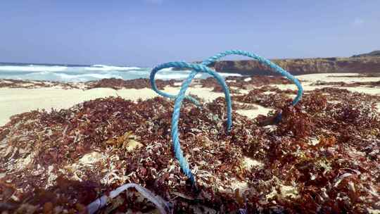 阿鲁巴海岸线上的绳索、海藻和垃圾