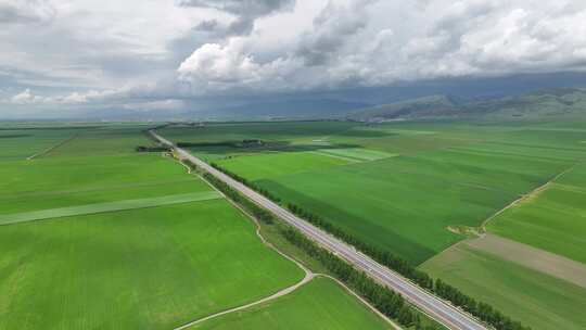 新疆伊犁昭苏G577农田航拍乡村田野风光