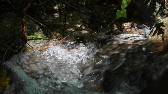海南热带雨林森林溪流溪水泉水流动慢动作