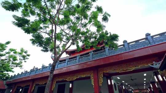 女人参观亚洲神社