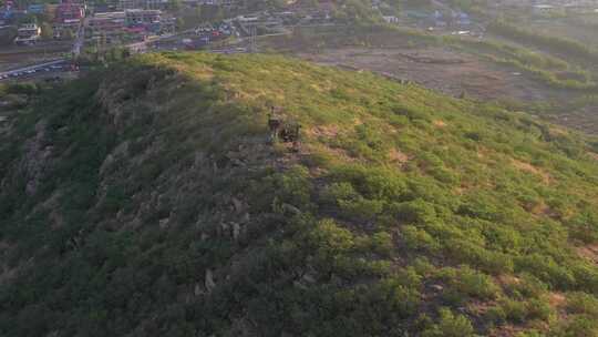 航拍日出 航拍 大山 航拍山村