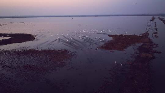 【航拍】沉湖湿地16（2022.12.21）4K_升格