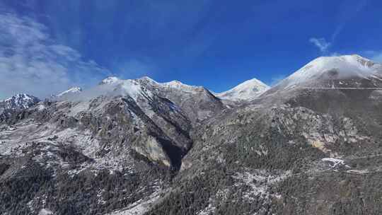 航拍川西贡嘎山乡高山森林雪景风光