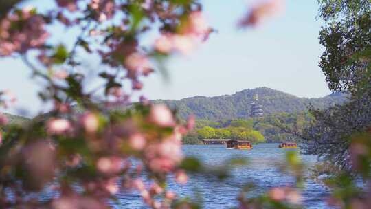 杭州西湖雷峰塔春天风景