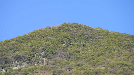 秦岭秋季风景