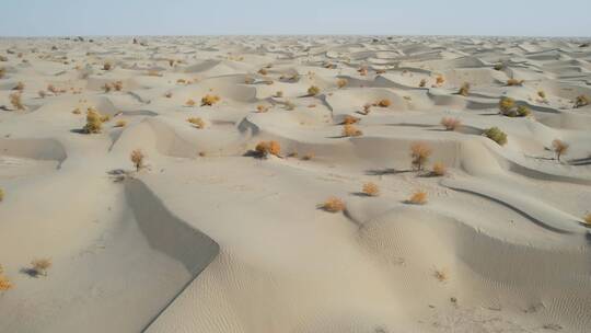 广阔的新疆塔克拉玛干沙漠